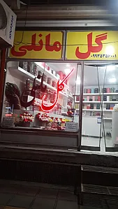 گل مانلی
