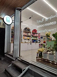 گلفروشی وینا