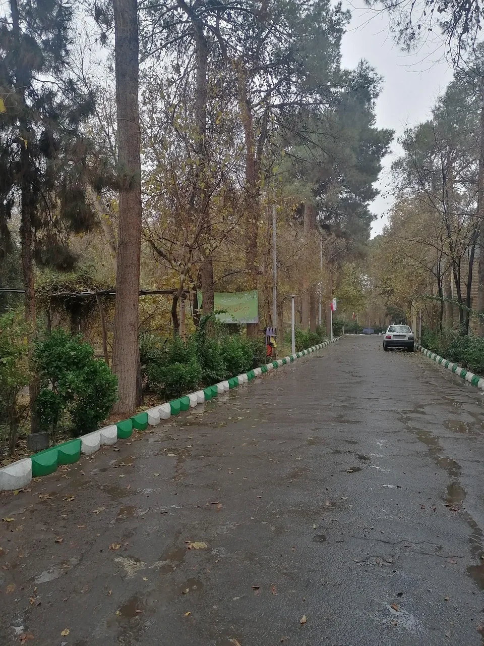 دبیرستان ماندگار امام صادق (ع) - تصویر 4