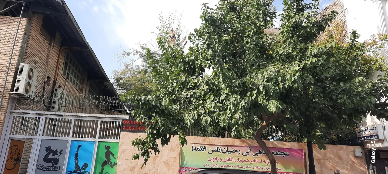 استخر و سونا ثامن الائمه مشهد - تصویر 2