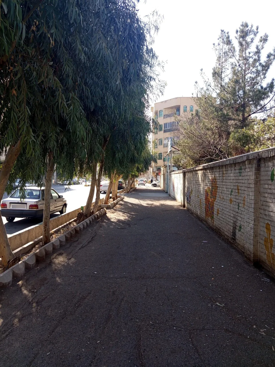مدرسه ابتدایی ملاهادی سبزواری - تصویر 5