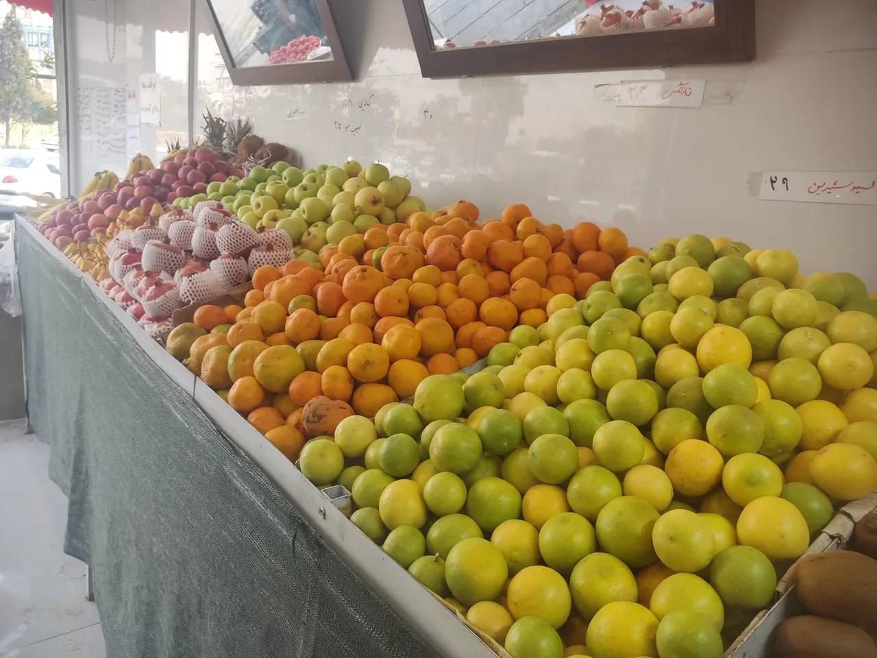میوه سرای دالاهو - تصویر 4