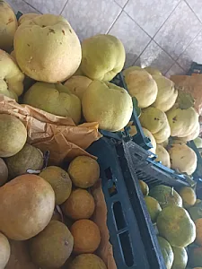 میوه فروشی چهار فصل