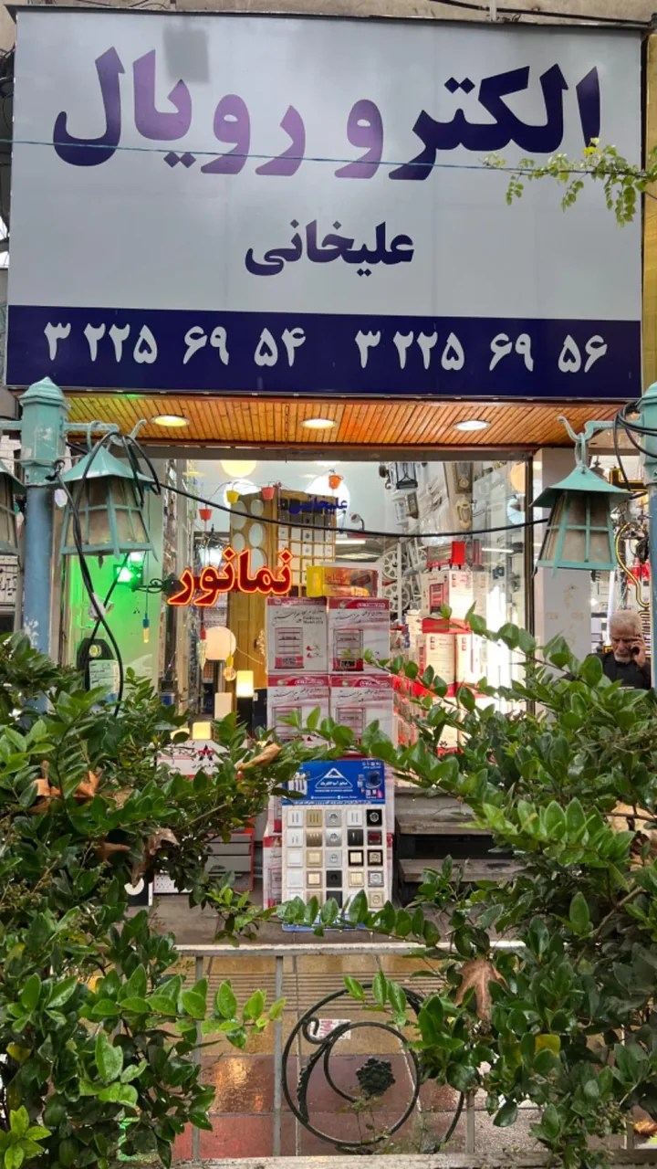 الکترو رویال علیخانی - تصویر 2