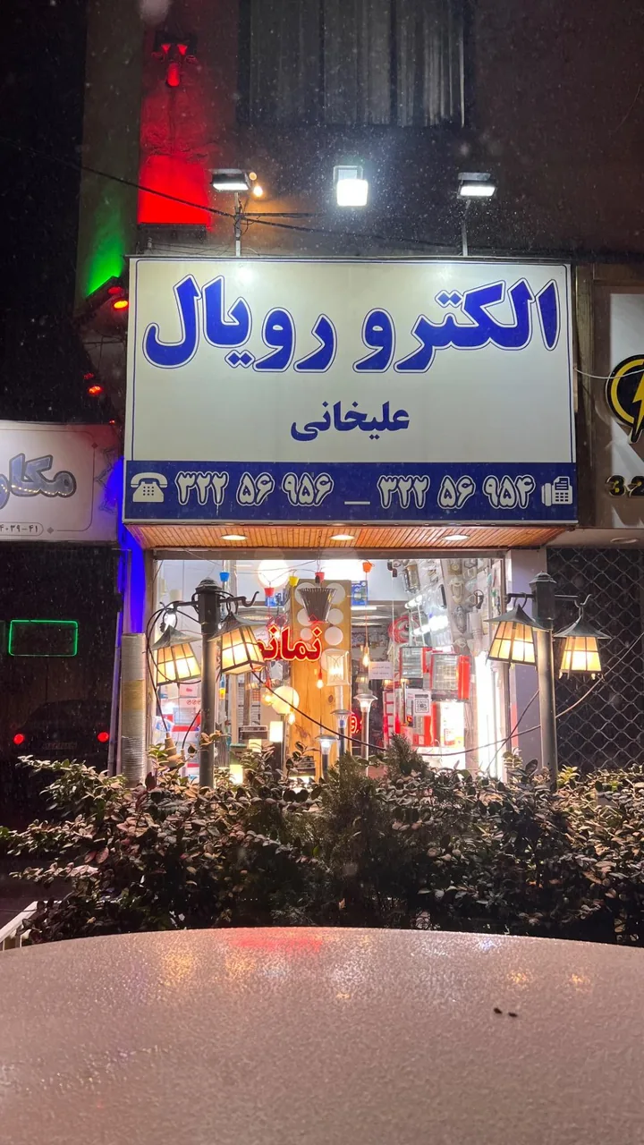 الکترو رویال علیخانی - تصویر 3