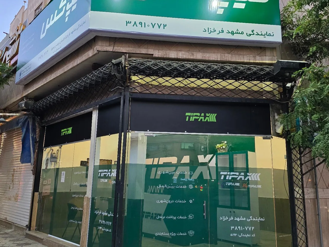 تیپاکس فرخزاد - تصویر 2