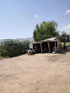 سبزی فروشی