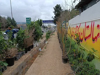 نهالستان و گلخانه دکتر ایزدی