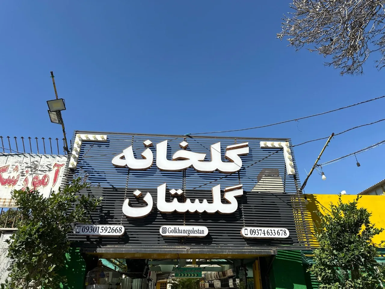 گلخانه گلستان - تصویر 4