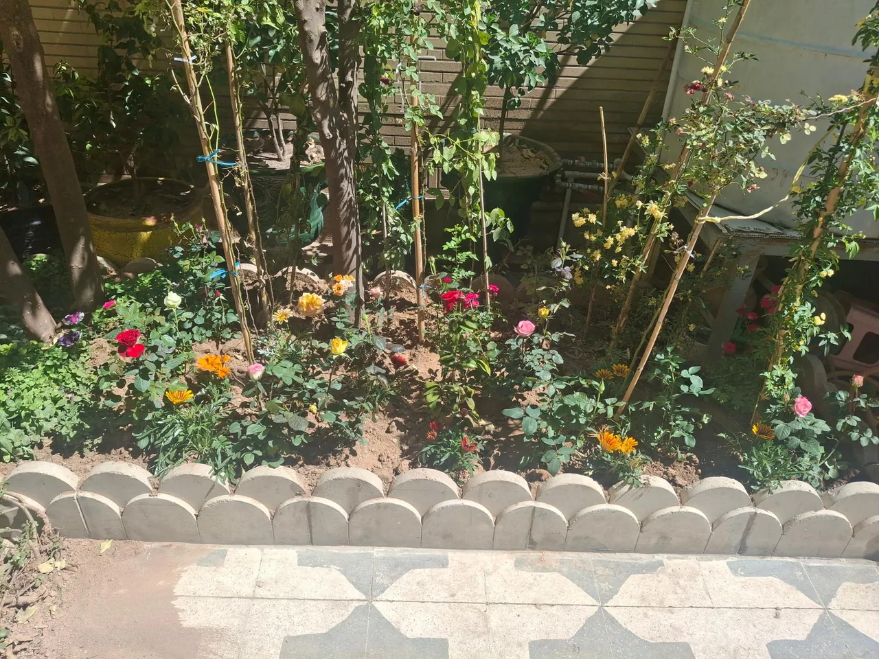 نهالستان مجید - تصویر 3