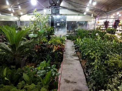 گلباغ سروناز