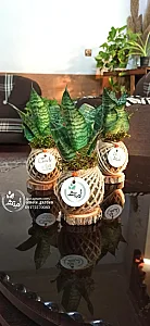 گلخانه امته