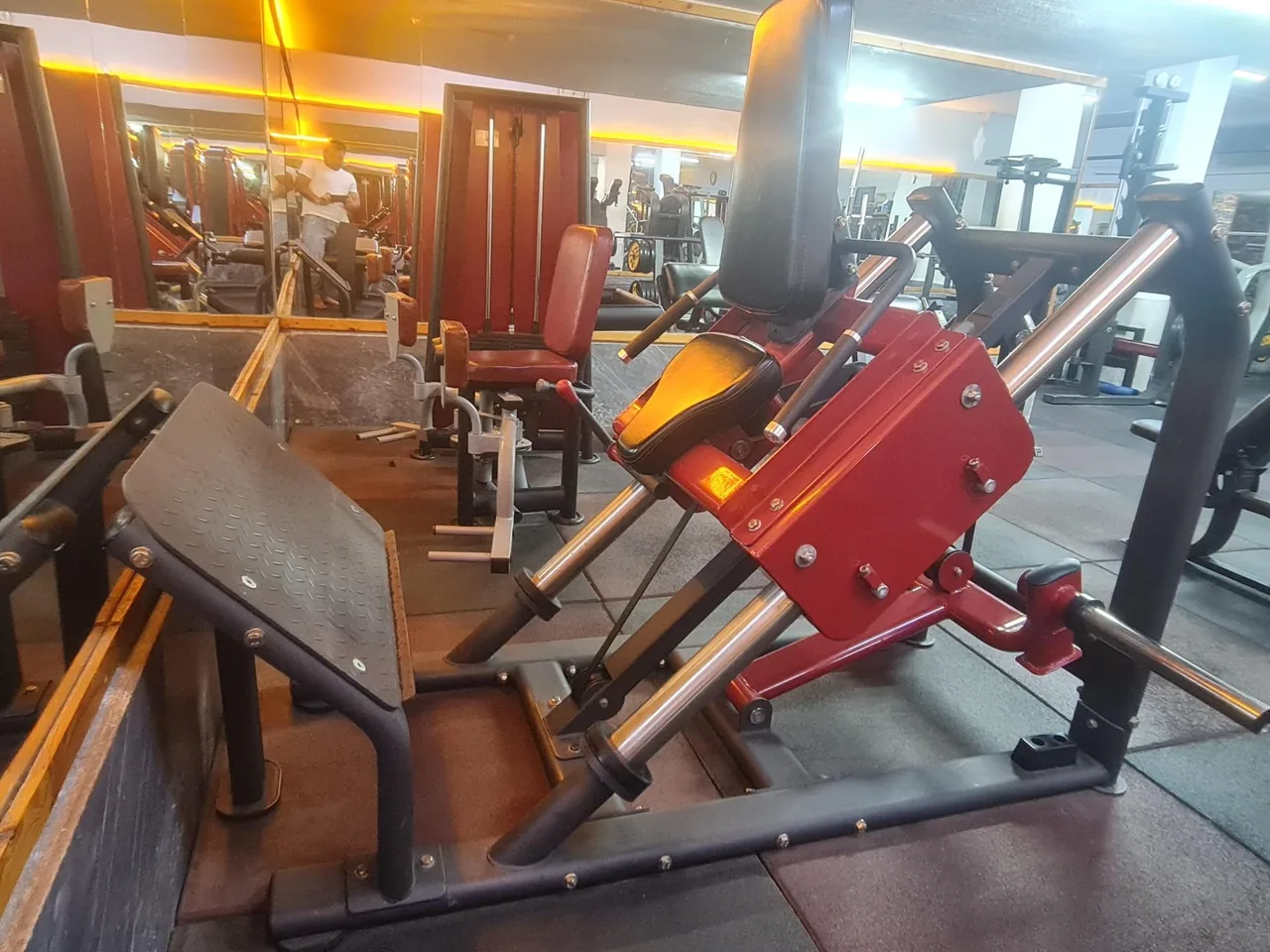 باشگاه بدنسازی علی حیدر - تصویر 2