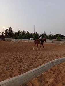 باشگاه سوارکاری سمند