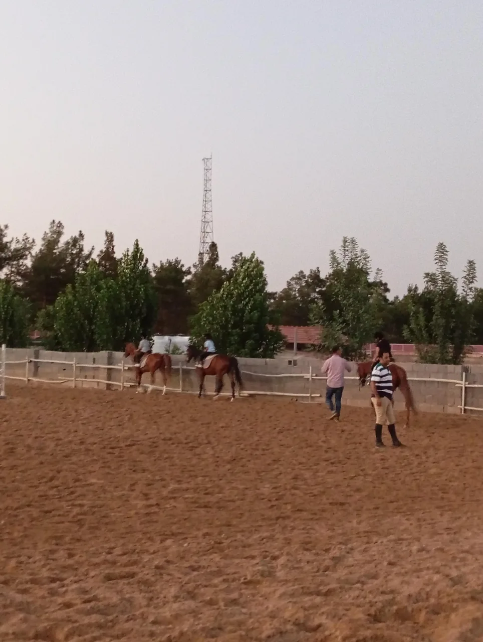 باشگاه سوارکاری سمند - تصویر 3