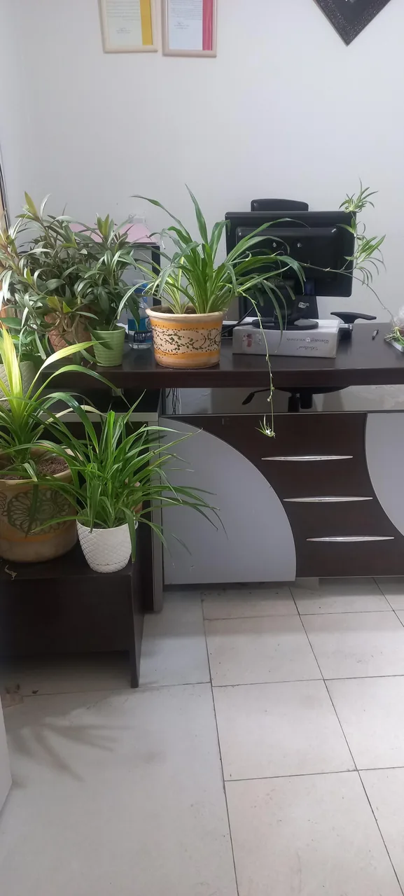 مرکز مثبت زندگی کد ۷۴۷۱ - تصویر 3