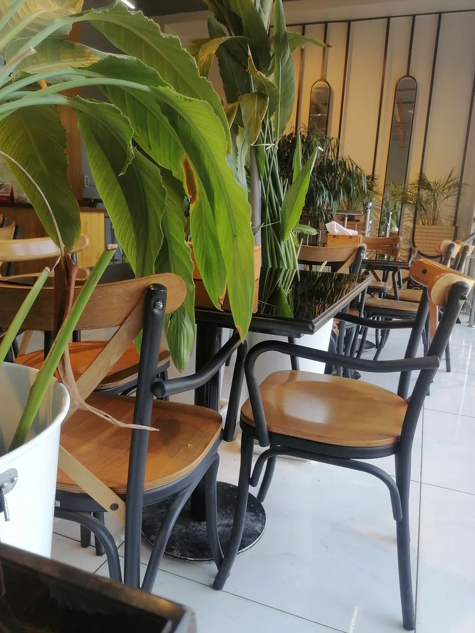 فست فود سارا شعبه اشراق - تصویر 2