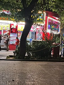 فست فود همشهری