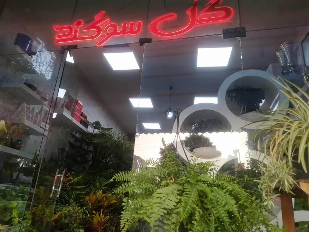 گل فروشی سوگند - تصویر 2