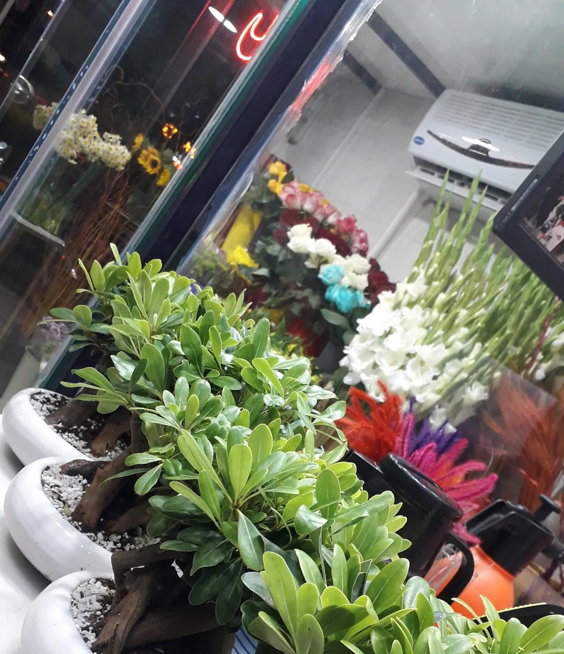 فروشگاه گل سپاس - تصویر 2