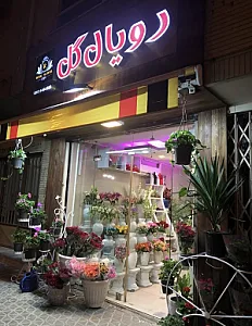 رویال گل