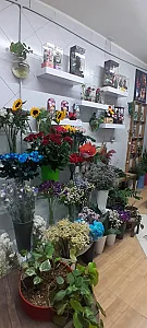 کلبه گل ملودی