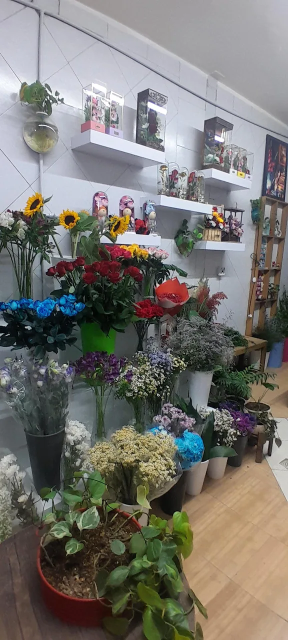 کلبه گل ملودی