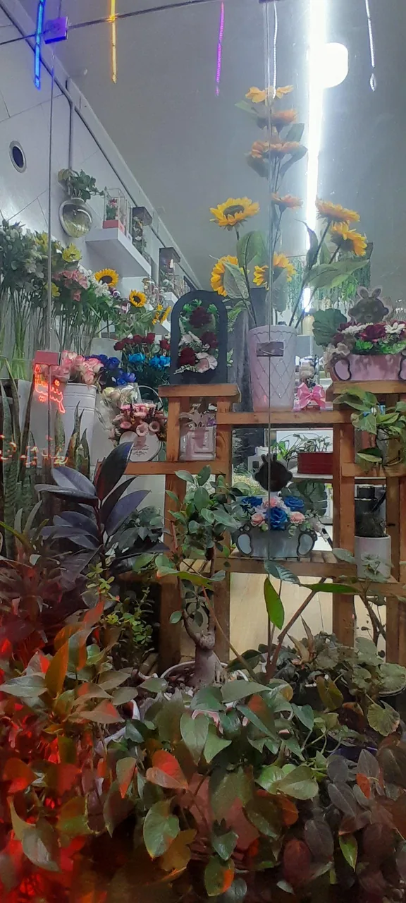 کلبه گل ملودی - تصویر 4