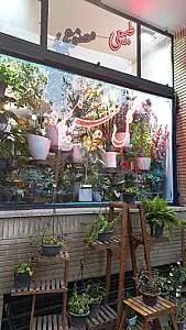 گل فروشی جزیره