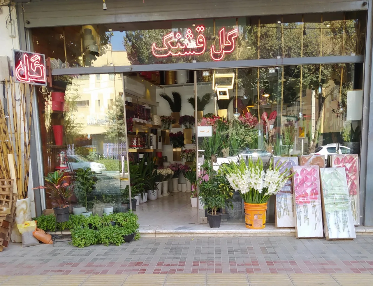 گل قشنگ اصفهان - تصویر 2