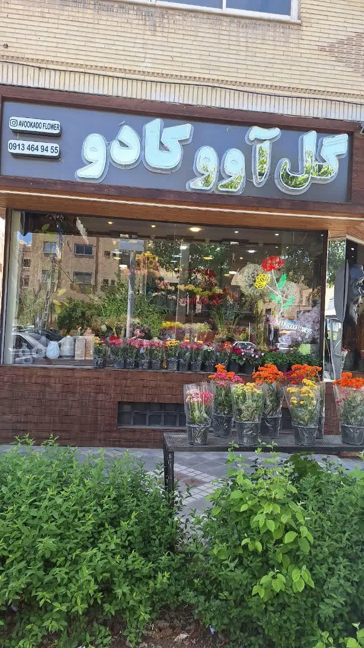 گل آووکادو - تصویر 2