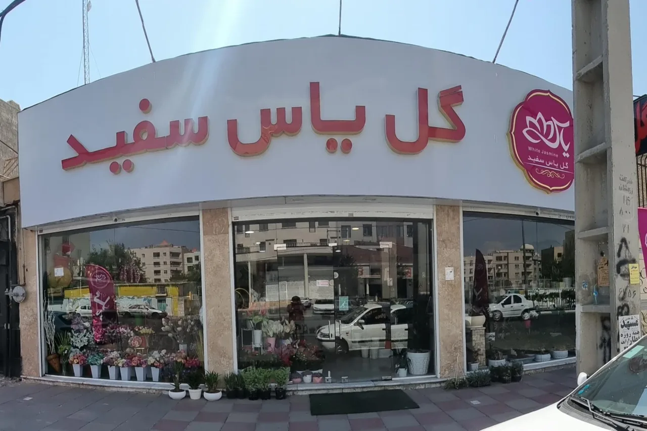گل فروشی یاس سفید - تصویر 2