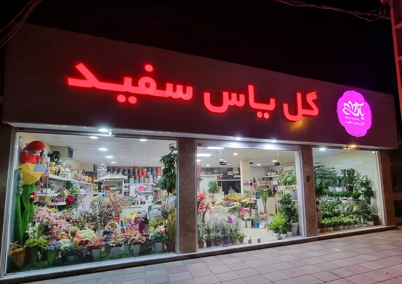 گل فروشی یاس سفید - تصویر 3