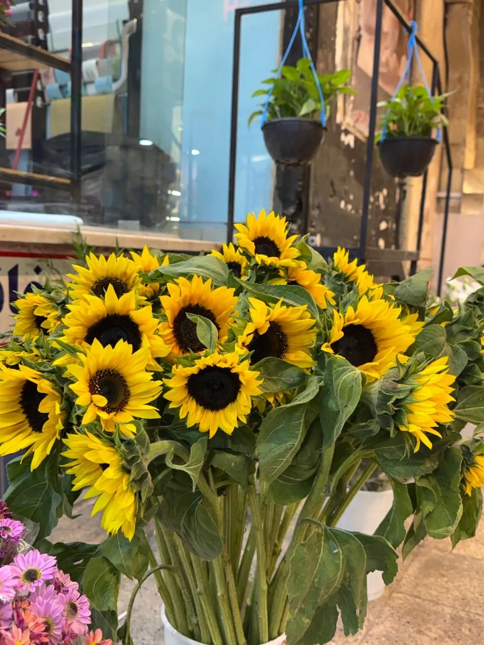 گل فروشی بلو رز - تصویر 5