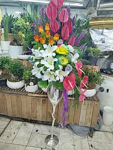 گل جهان