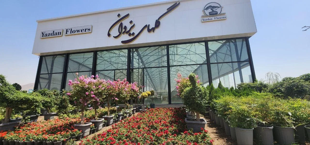 گلهای یزدان - تصویر 2