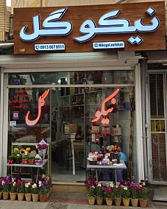 نیکو گل