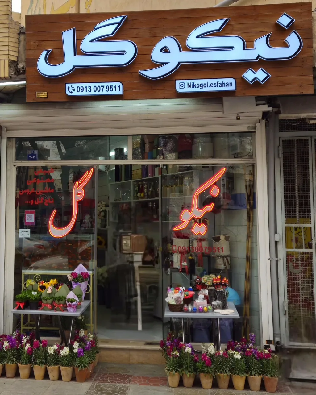 نیکو گل