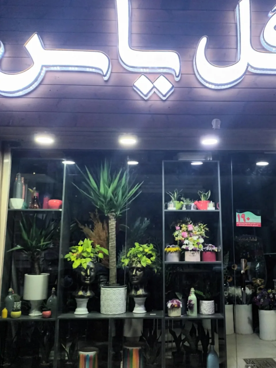 گل یاس - تصویر 3