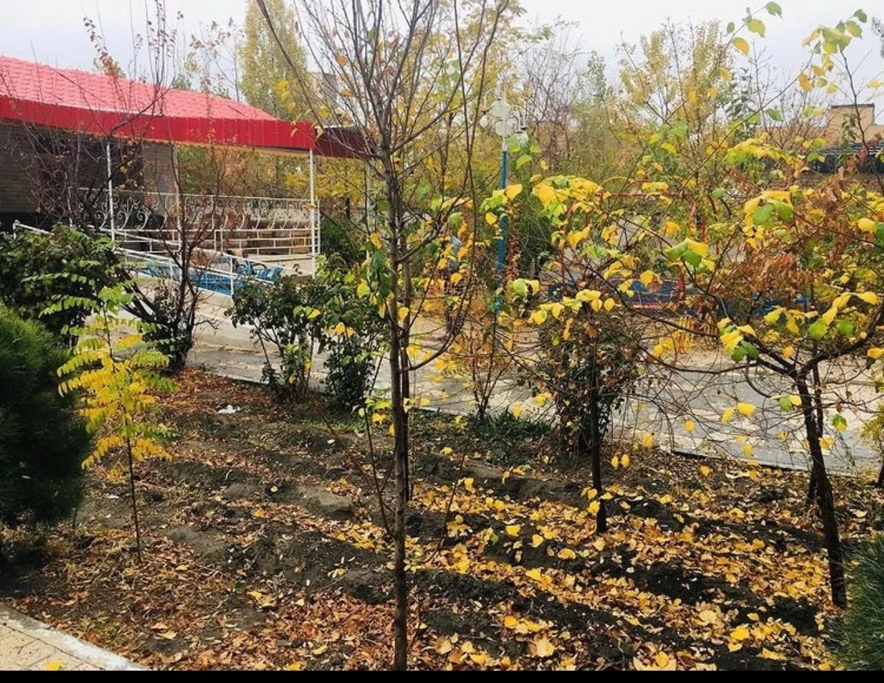 مرکز سالمندان آشیان مهر - تصویر 4