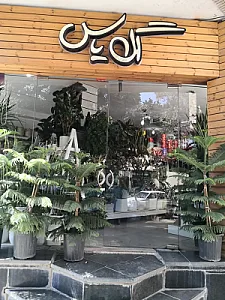 گل یاس (گل روز)