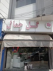 گل جمال