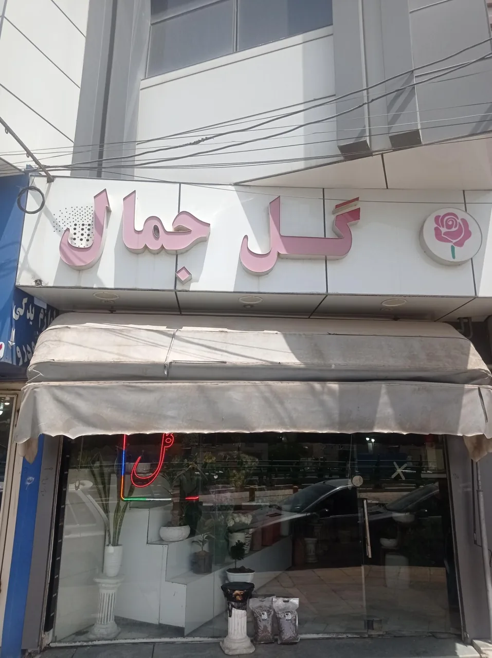 گل جمال