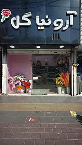 گلفروشی آرونیا