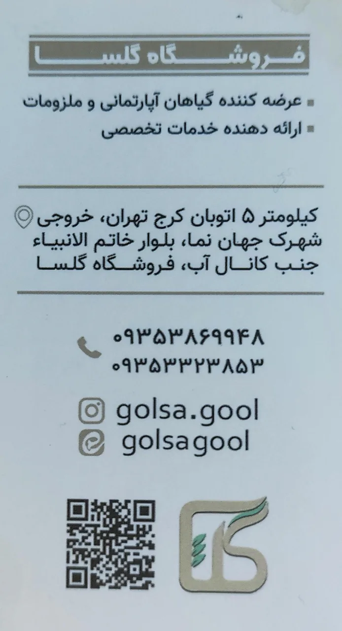 گلسا - تصویر 2