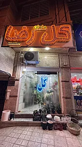گل رضا