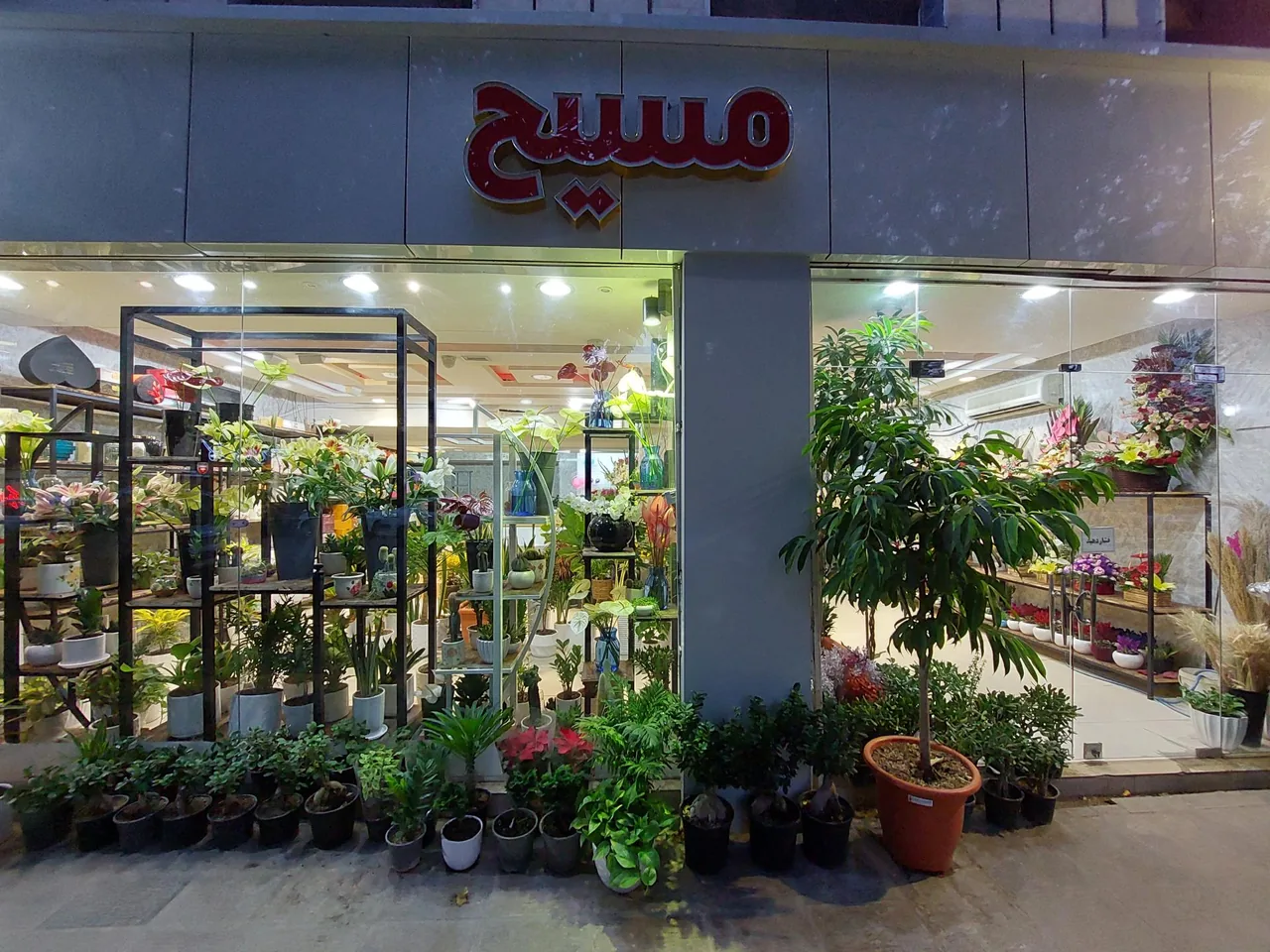 گل مسیح