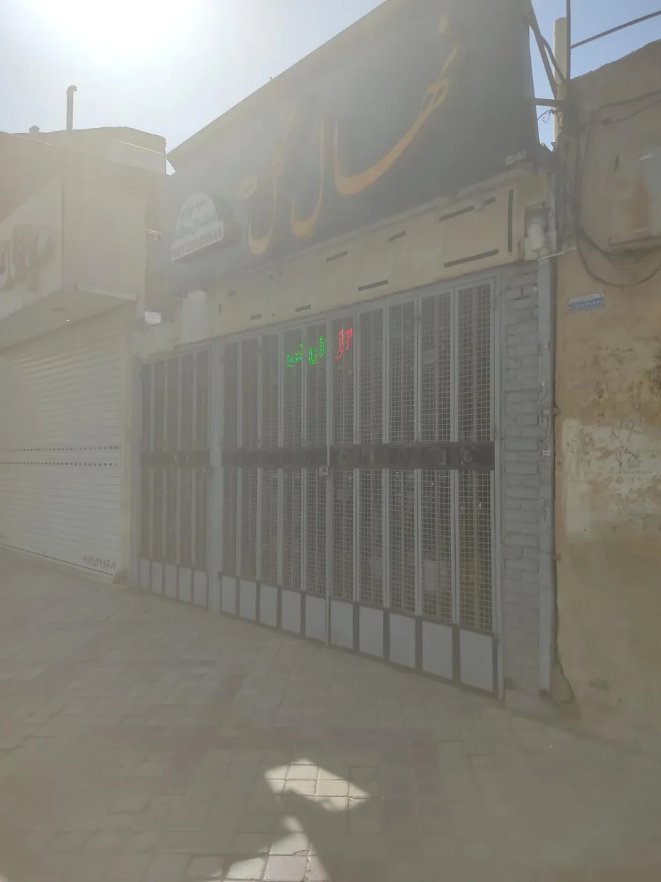 نهال گل - تصویر 2