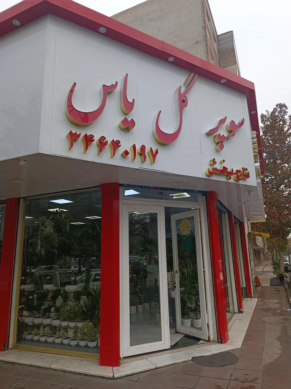 گل فروشی یاس - تصویر 3