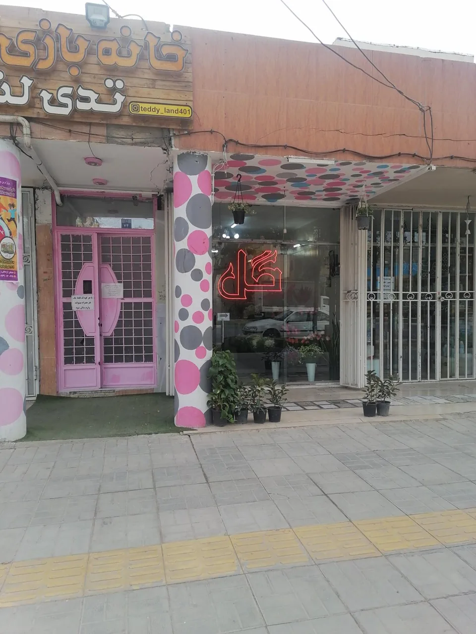 گل فروشی بلک رز